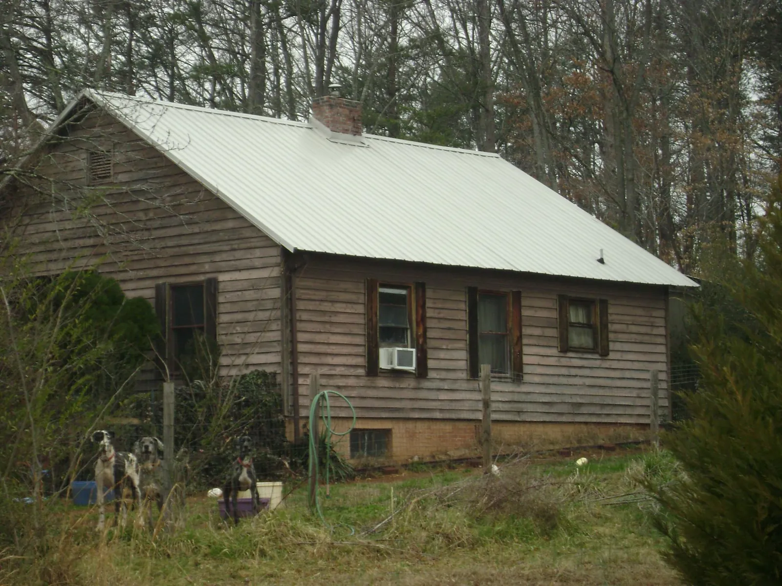 White metal roof on an old wood sided farmhouse, from a Metal Roof Installation job in Bagley
